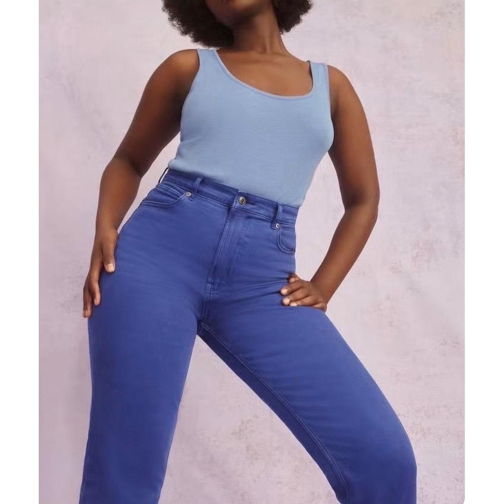 Everlane Way-High Straight Leg Blue Denim Jeans 29 Regular NWT WHGH-STRT-BLU-29